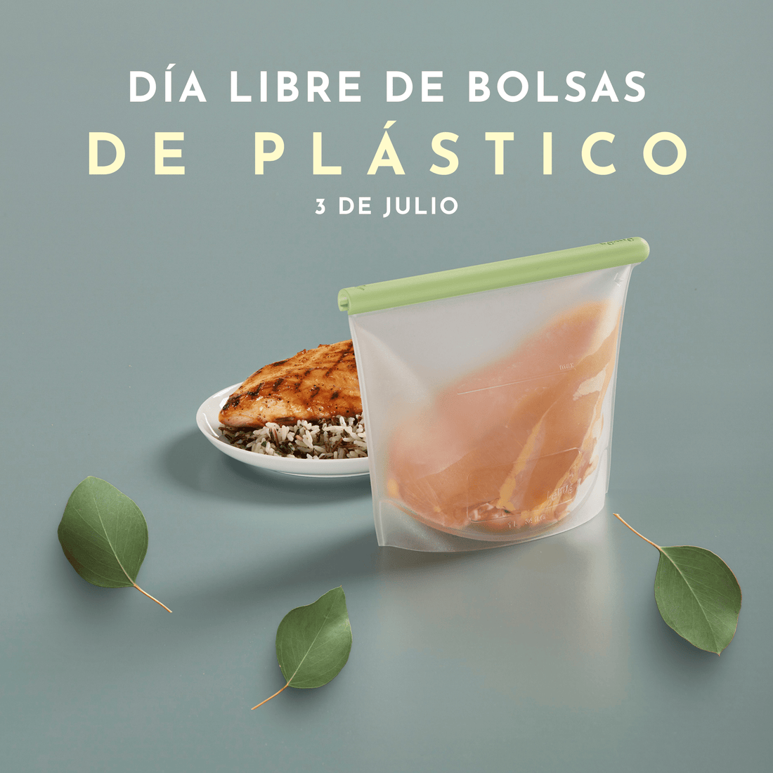➜ DÍA LIBRE DE LAS BOLSAS DE PLÁSTICO 2021 ⤧ - Domietc