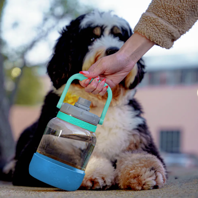 Botella de Agua y Cuenco para Mascotas Azul 1 L Barkley Asobu