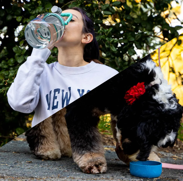 Botella de Agua y Cuenco para Mascotas Azul 1 L Barkley Asobu