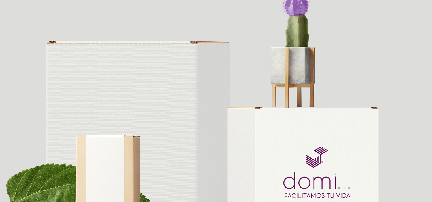 Domietc