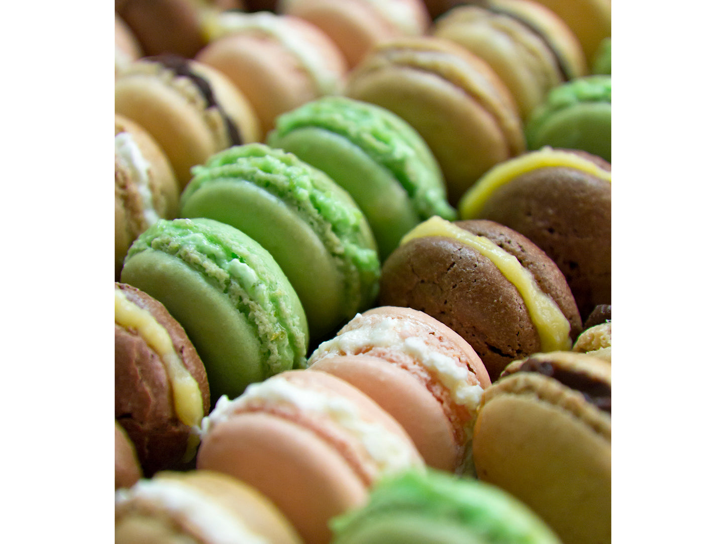 charola hornear macarons, tapete macarrons, tapete macarons, charola macarrons, charola macarons, tapete silicona macarons, tapete silicona marcarons, tapete silicon macarrons