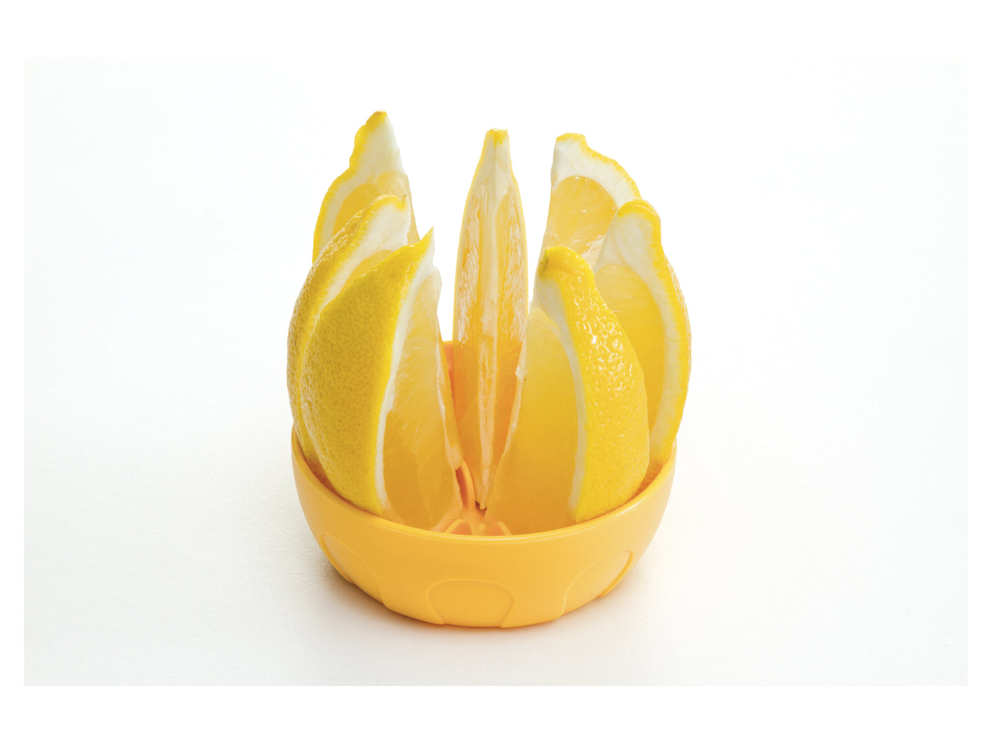 contenedor limones apto lavavajillas, contenedor limones, contenedor limas, contenedor limones mitades, recipiente limones, recipiente limas, recipiente limones y limas, tupper limones